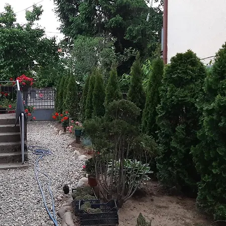 Apartman Zivkovic 2 Leskovac (Jablanica)